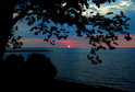 Olcott 012